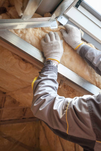 Trusted West Columbia, SC Insulation Contractor Experts