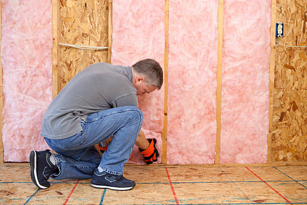Best Cellulose Insulation in West Columbia, SC