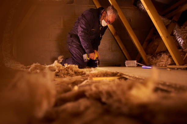 Best Residential Insulation in West Columbia, SC